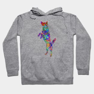 Siberian Husky dog Hoodie